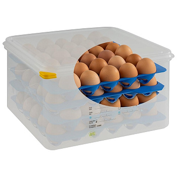 Контейнер для хранения яиц 35,4*32,5 см. h= 20 см. 4 лотка с крышкой APS /1/6/